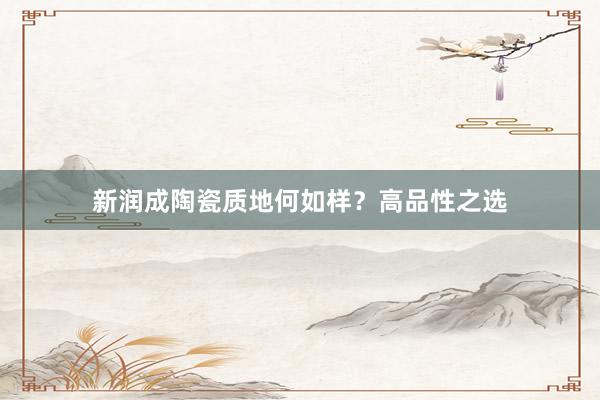 新润成陶瓷质地何如样？高品性之选
