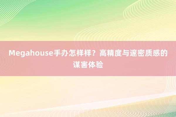 Megahouse手办怎样样？高精度与邃密质感的谋害体验